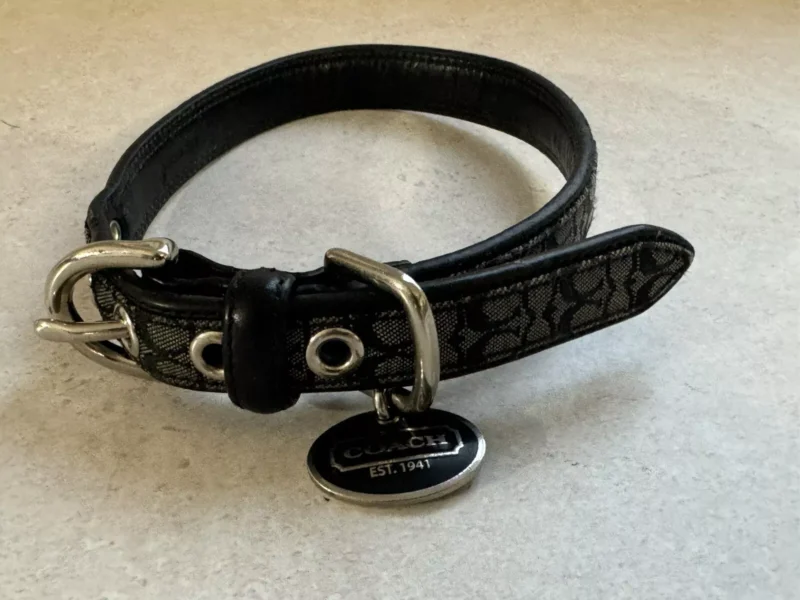 Coach Dog Collar