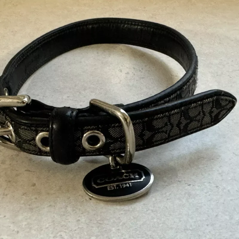 Coach Dog Collar
