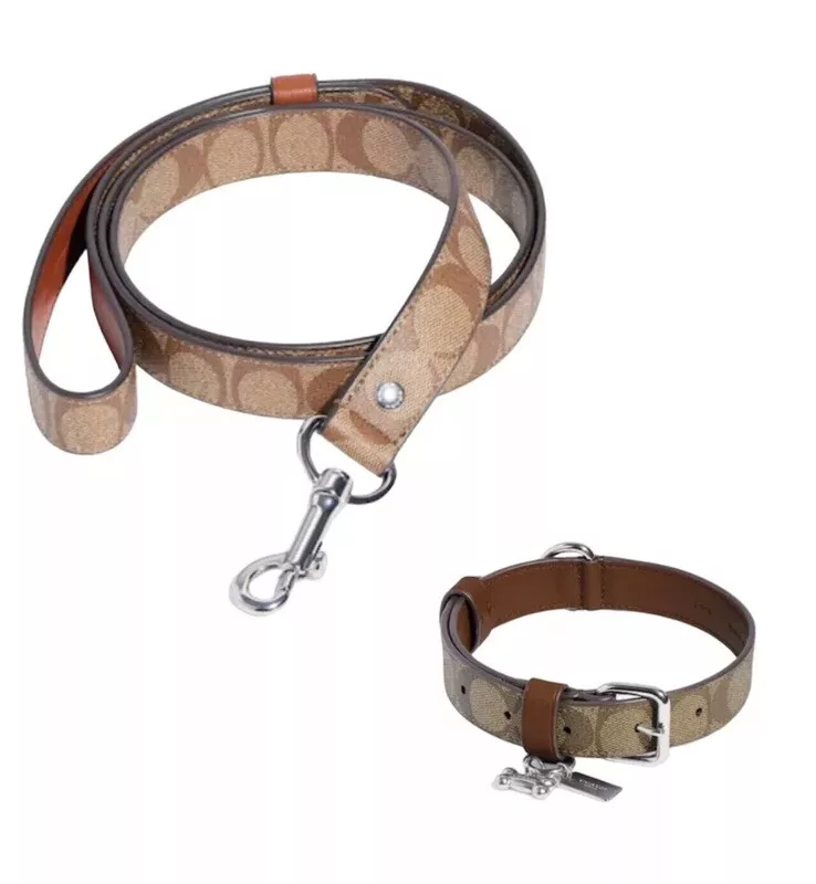 Coach Dog Collar + Leash Large Signature Khaki Silver Bone Charm Boxed
