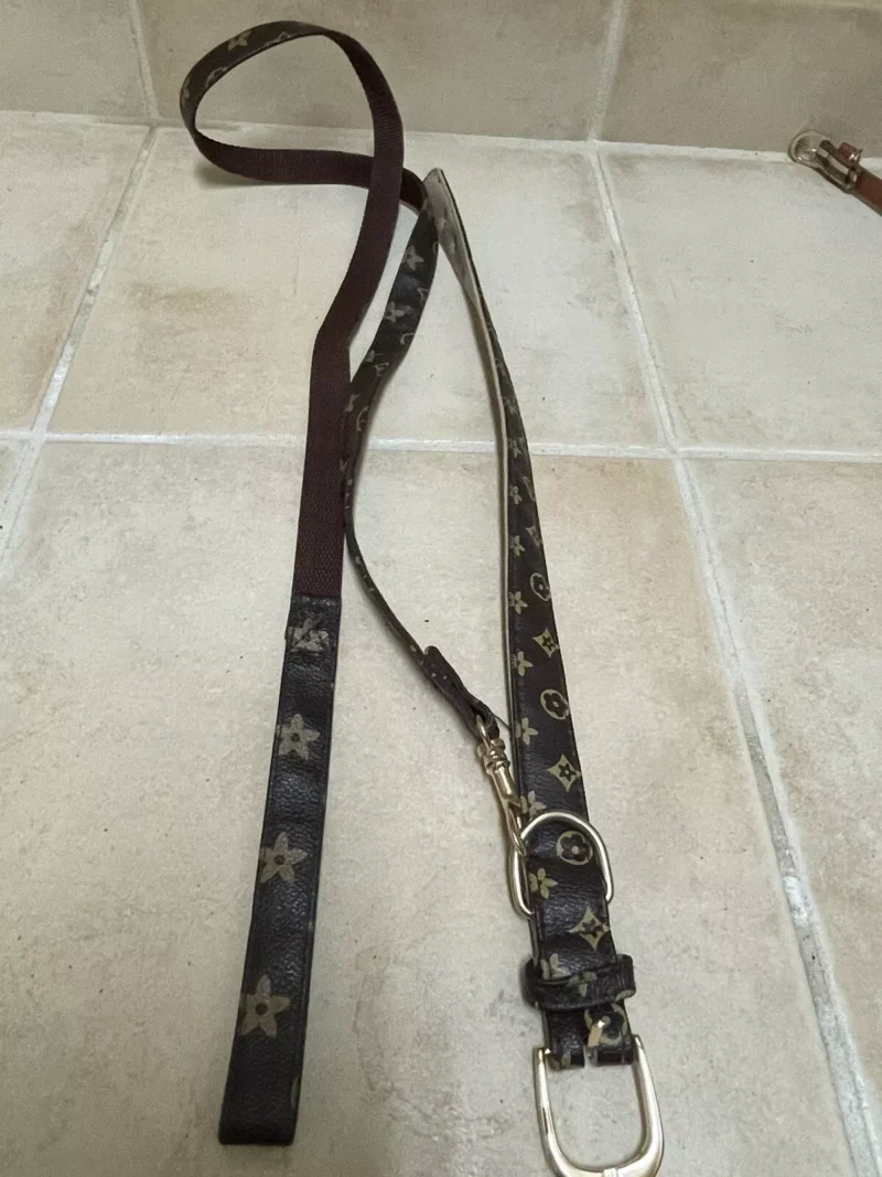 Dog Collar And Leash, Louis Vuitton Inspired,
