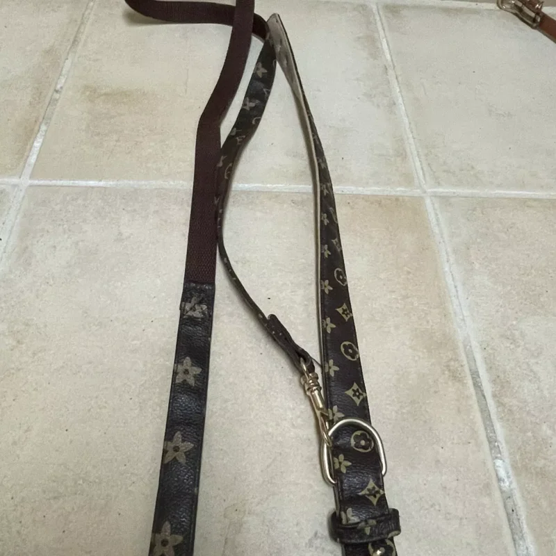 Dog Collar And Leash, Louis Vuitton Inspired,