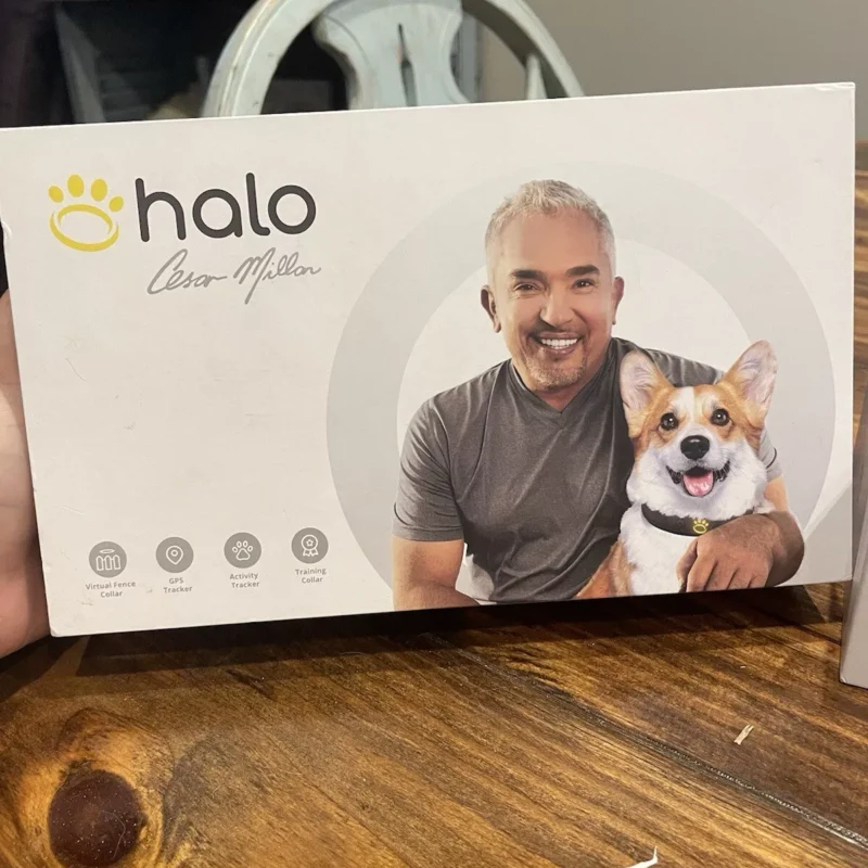 Halo Collar
