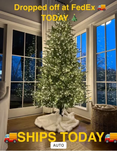 🎄9 foot 🎄🌟 Twinkling🌟HOME DECORATORS Grand Duchess Christmas Tree TIKTOK