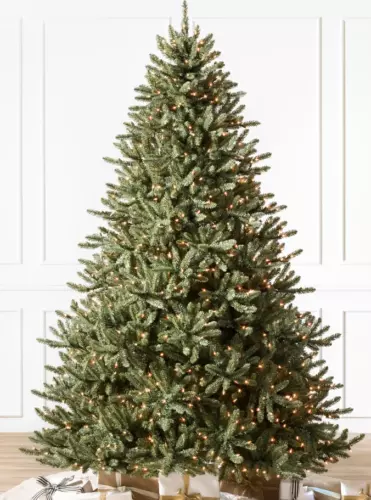 Balsam Hill, Classic Blue Spruce Trees, 4.5′ , Full Tree , LED Clear Lights